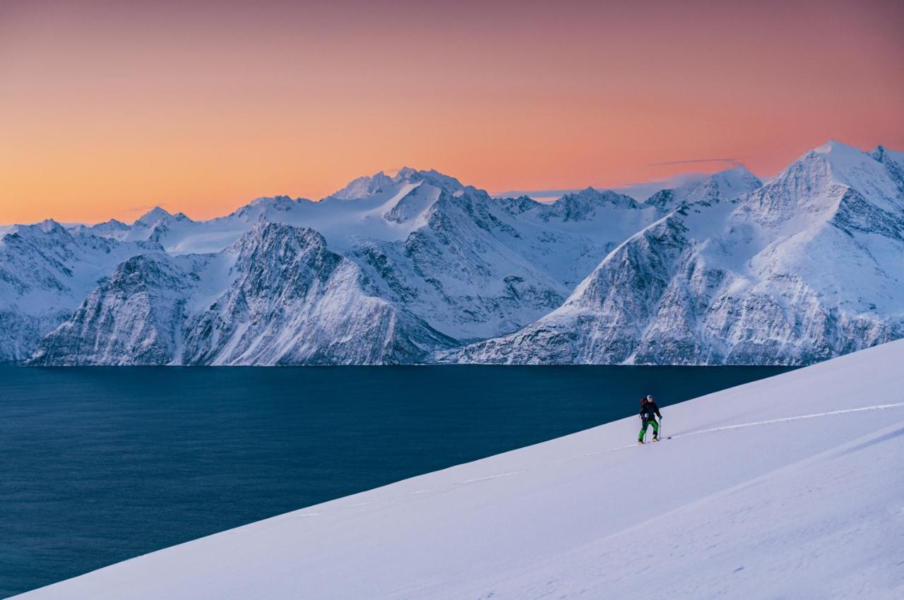 Reisa Lodge Storslett Bagian luar foto