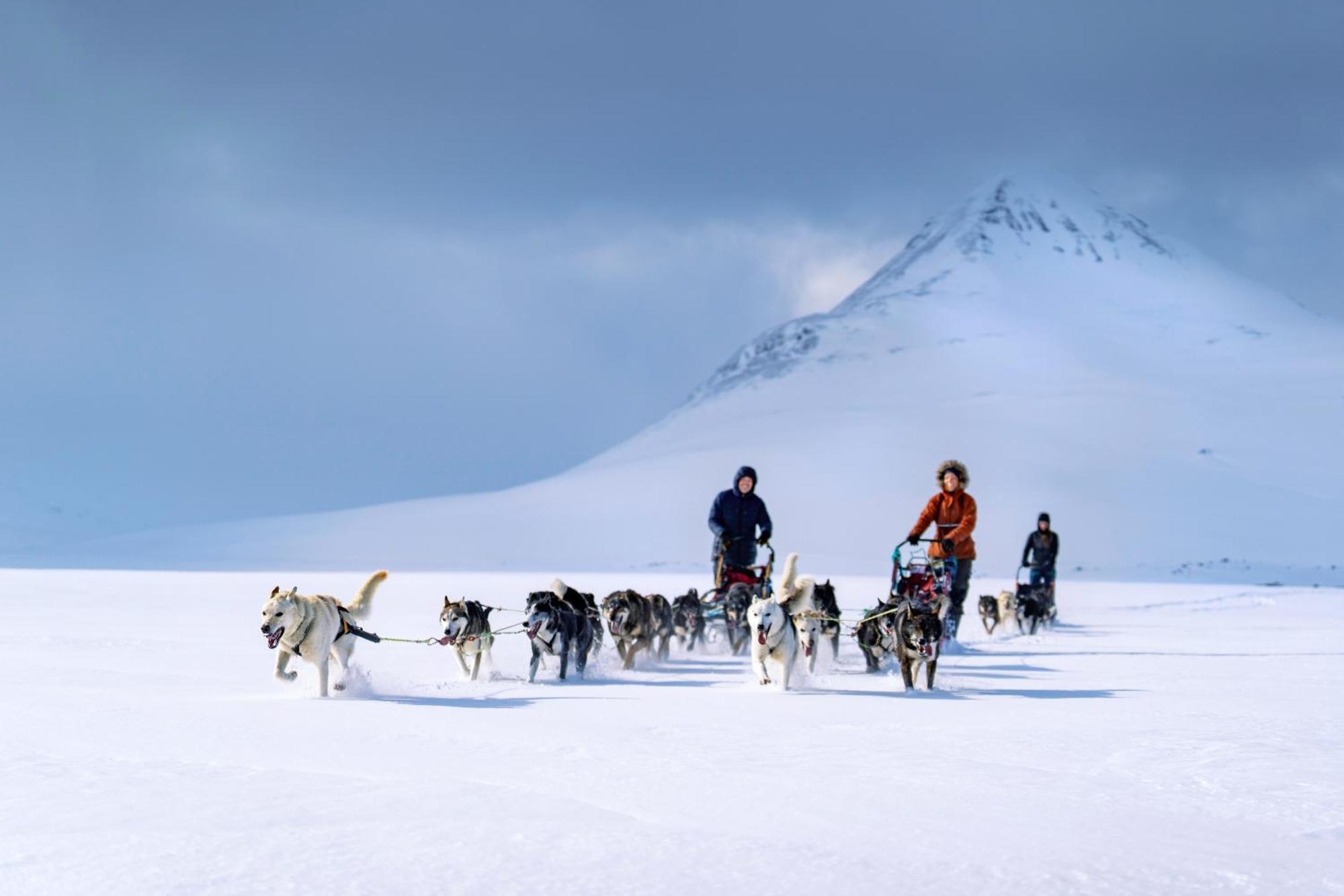 Reisa Lodge Storslett Bagian luar foto