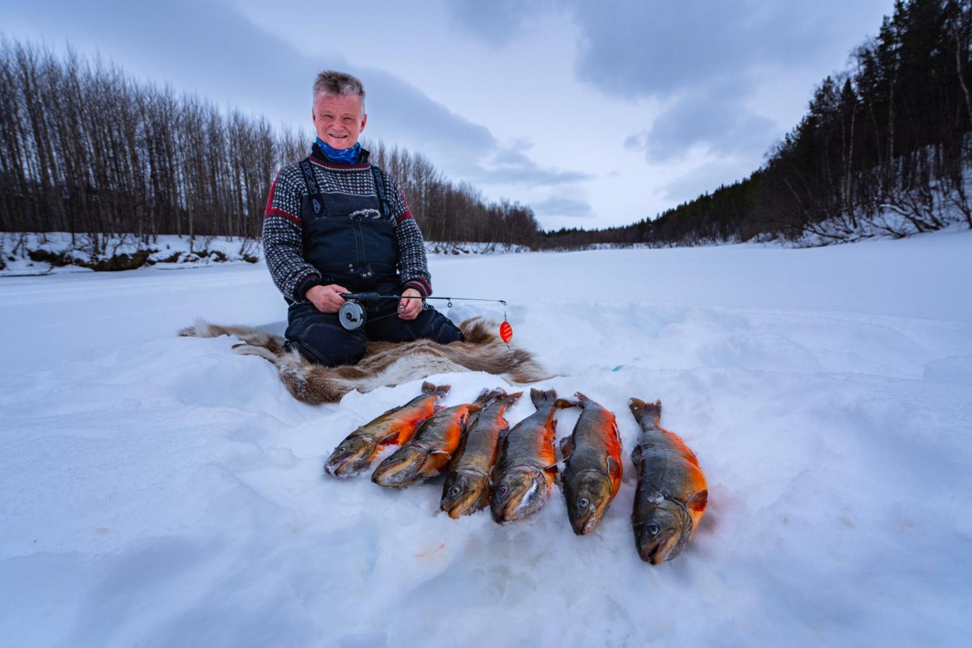 Reisa Lodge Storslett Bagian luar foto
