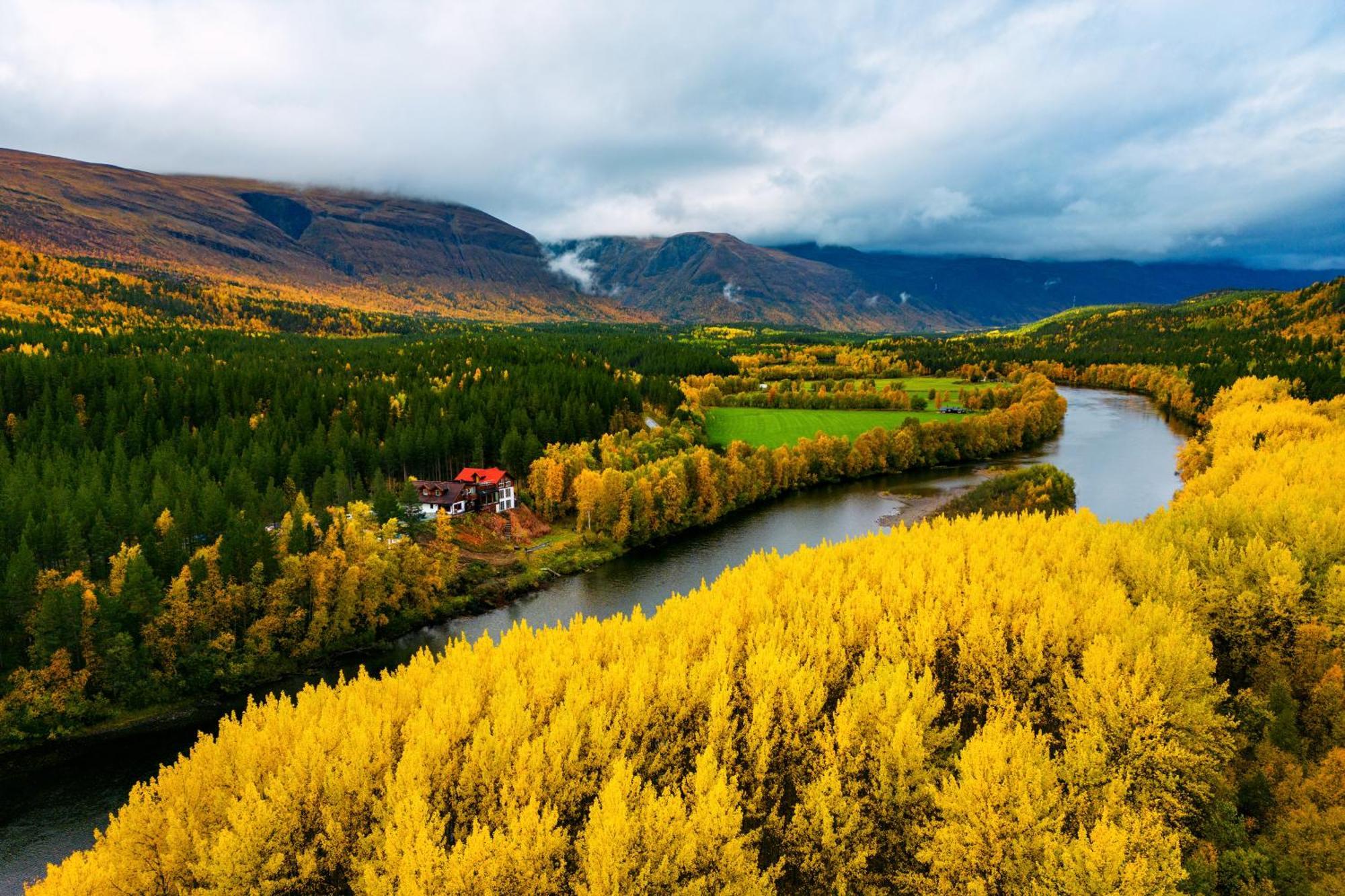 Reisa Lodge Storslett Bagian luar foto