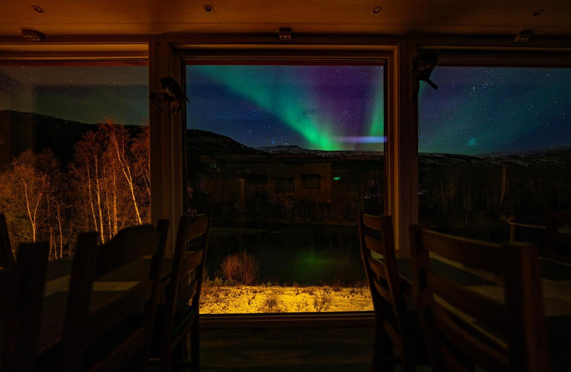 Reisa Lodge Storslett Bagian luar foto